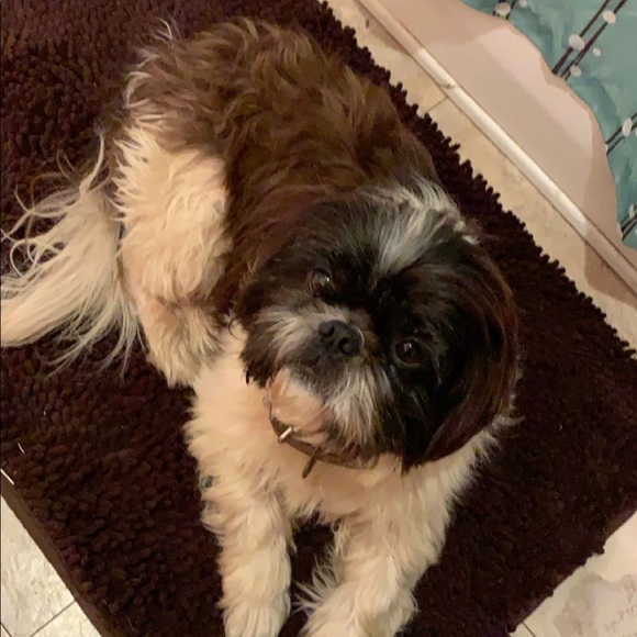 Meet your Posher, Brooklyn - Picture 2 of 5